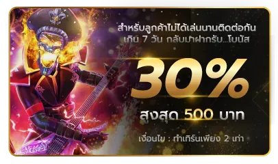 โปรโมชั่น 4